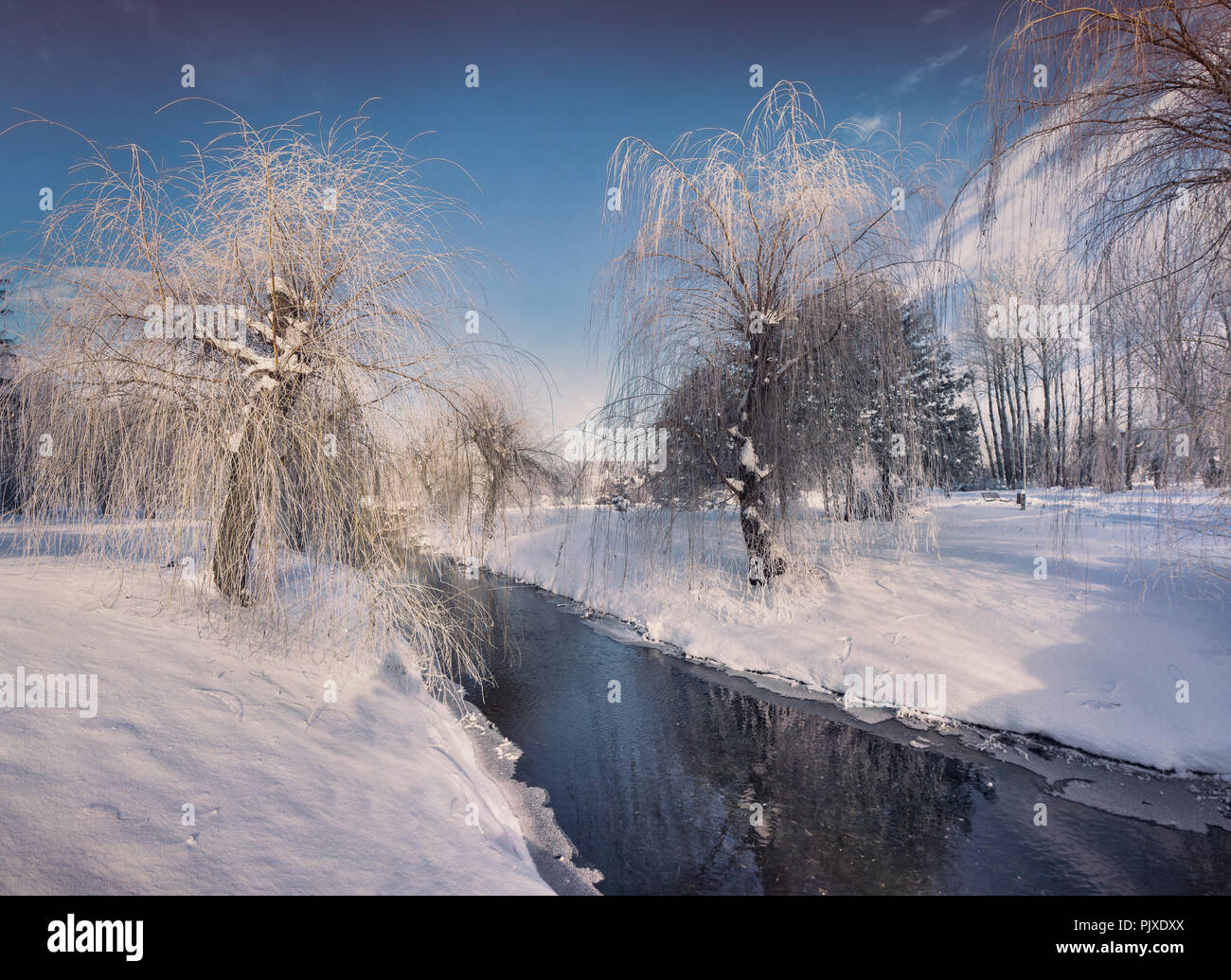 Incantevole paesaggio invernale nel parco della città con un fiume scuro Foto Stock