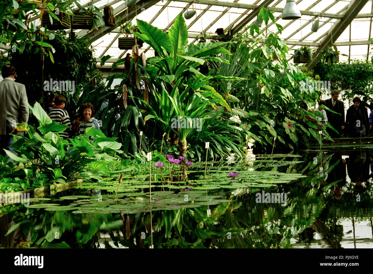 Il National Botanic Garden del Belgio in Meise (Belgio, 05/1992) Foto Stock