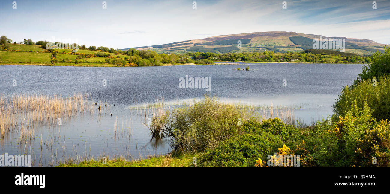 Irlanda, Co Leitrim, Keshcarrigan, Lough Scur e Sliabh un Iarainn Iron Mountain, panoramica Foto Stock