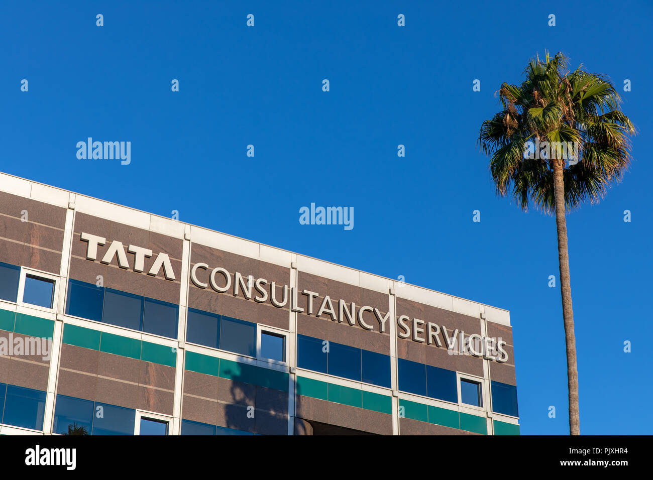 Tata Consultancy Services, edificio e Palm tree; Santa Clara in California Foto Stock