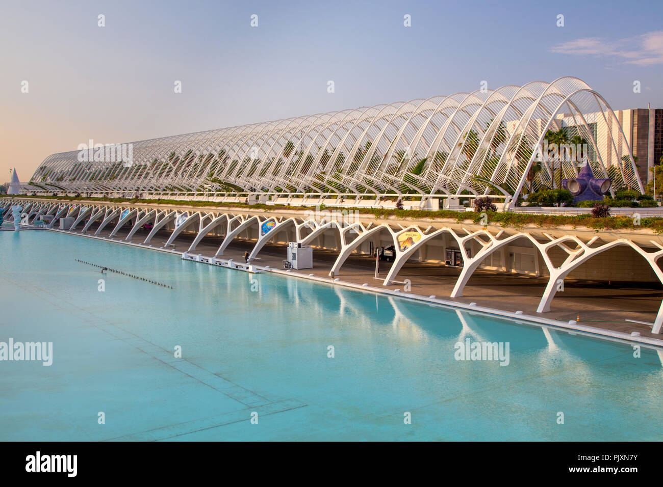 L'Umbracle struttura arcuata galleria di scultura nella Città delle Arti e delle Scienze di Valencia, Spagna Foto Stock