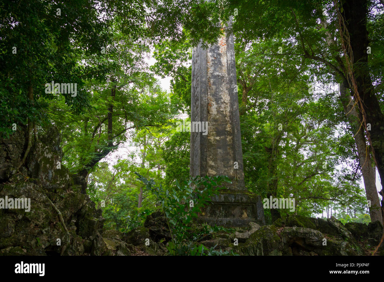 Antiche rovine pilastro nella giungla Foto Stock