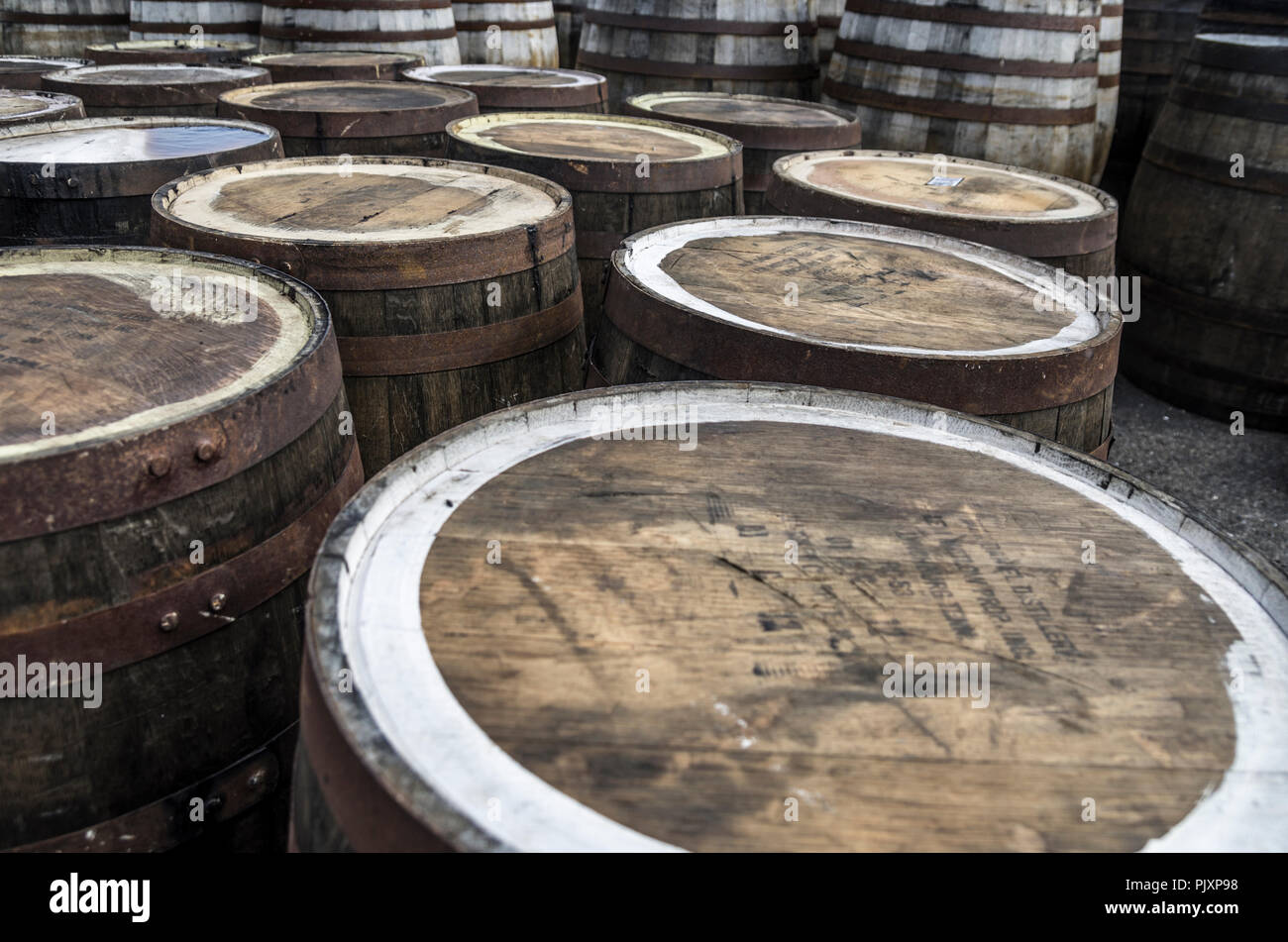Vuoto barili di Whisky alla distilleria Ardbeg, Islay, Scozia Foto Stock
