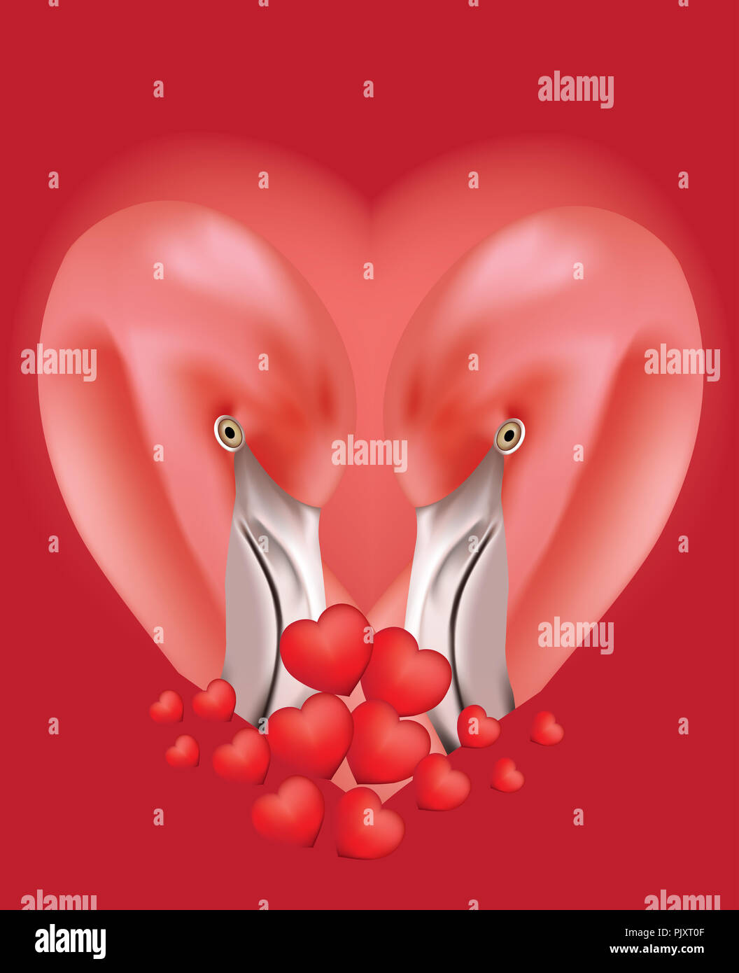 Bellissimi fenicotteri rosso Foto Stock