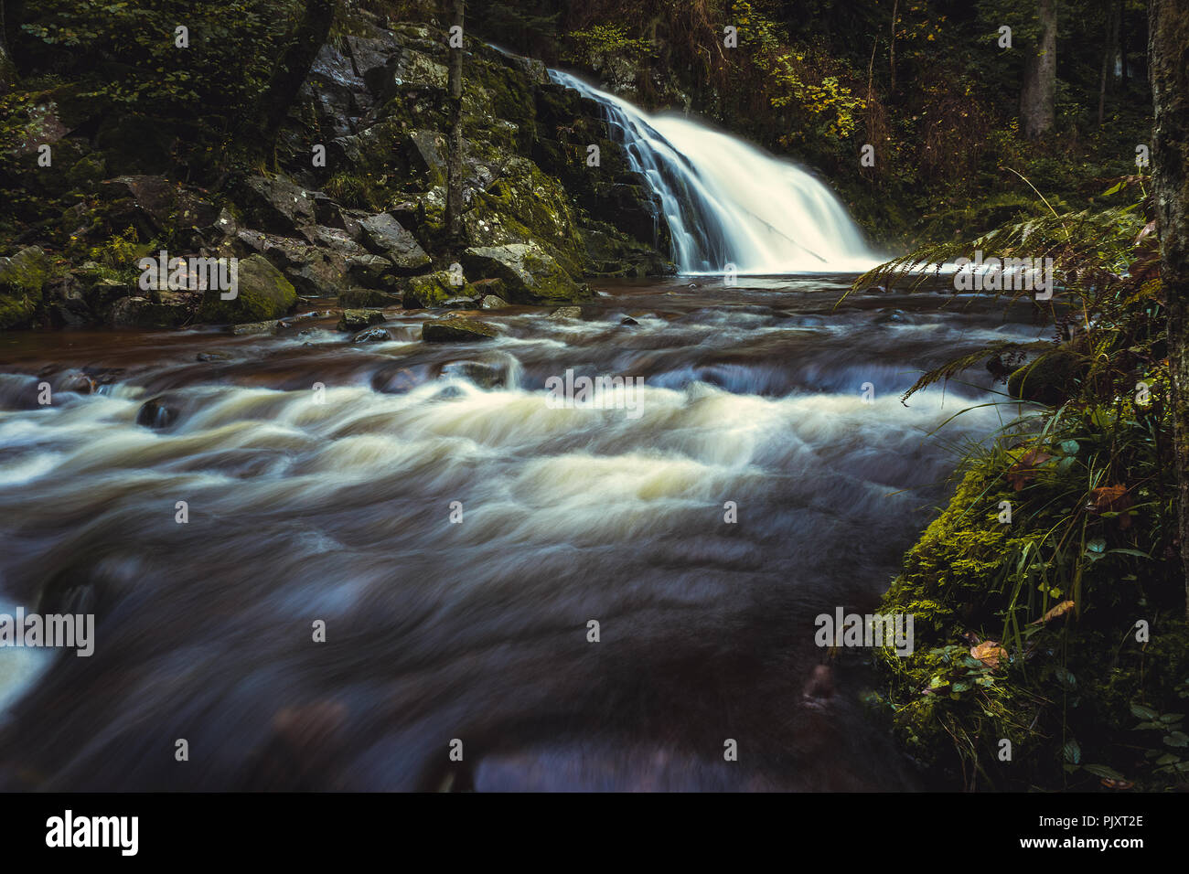Paesaggio di una cascata e il flusso del fiume nelle montagne Vosges in caduta, cupo e fiabesco umore, Francia. Foto Stock