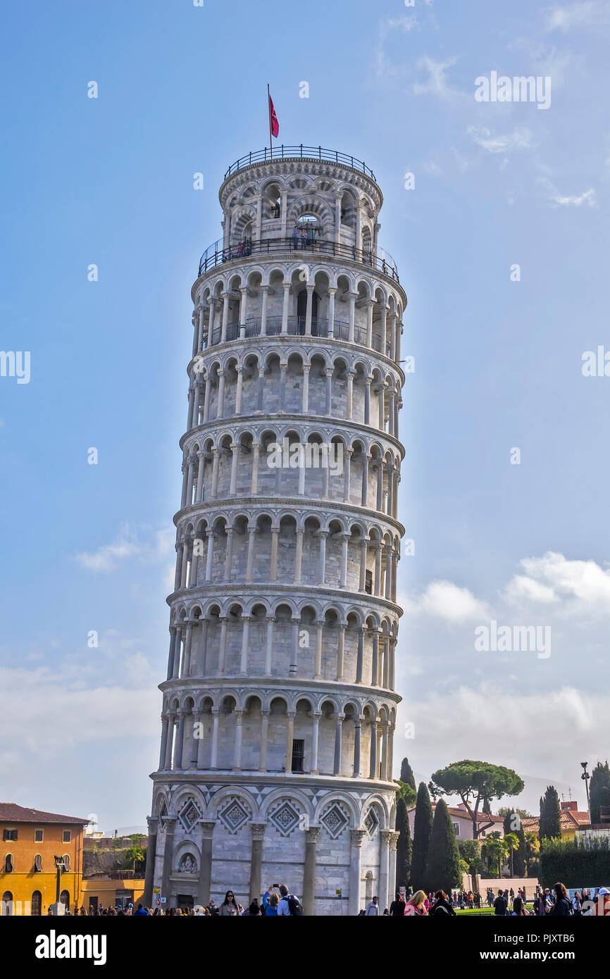 La Torre Pendente di Pisa Toscana Italia Foto Stock