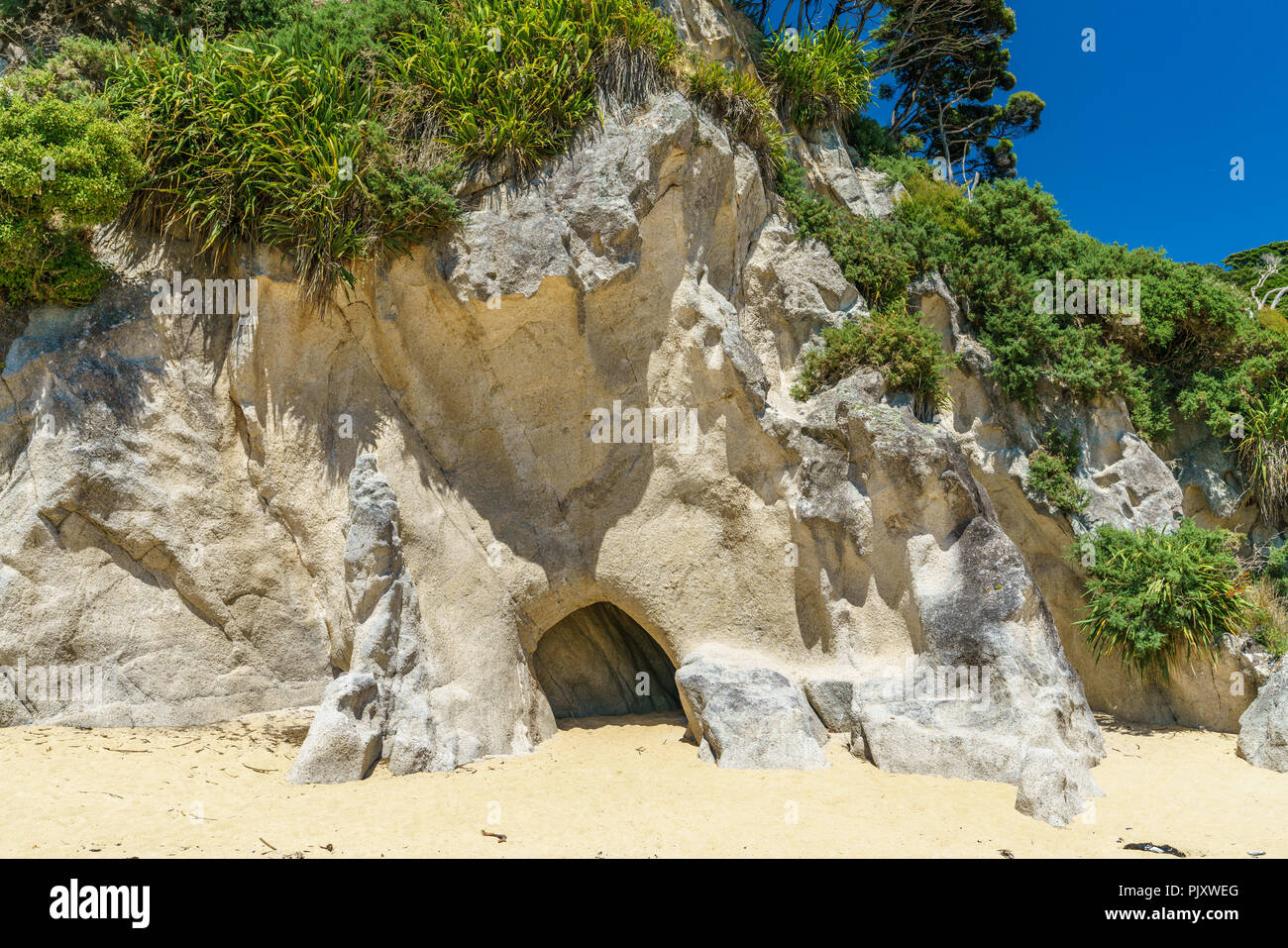 Grotta su una spiaggia tropicale con acque turchesi e la sabbia bianca nel Parco nazionale Abel Tasman, Nuova Zelanda Foto Stock