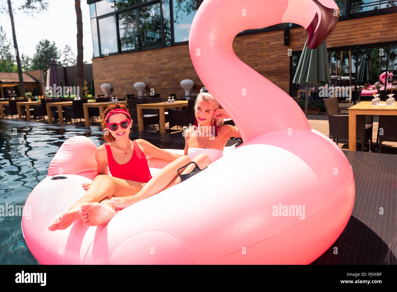 Allegro modelli interessanti divertendosi in piscina Foto Stock