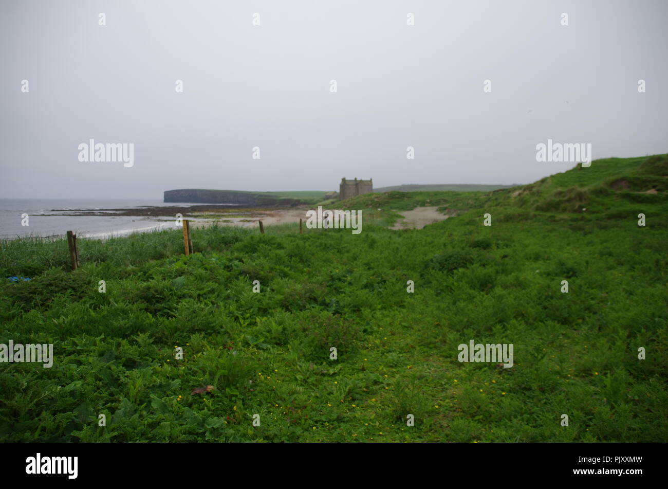 Freswick Castello. Freswick Bay. Freswick. John O' semole (Duncansby head) in terre fine. Cornwall. Da estremità a estremità trail. Caithness. La Scozia. Regno Unito Foto Stock