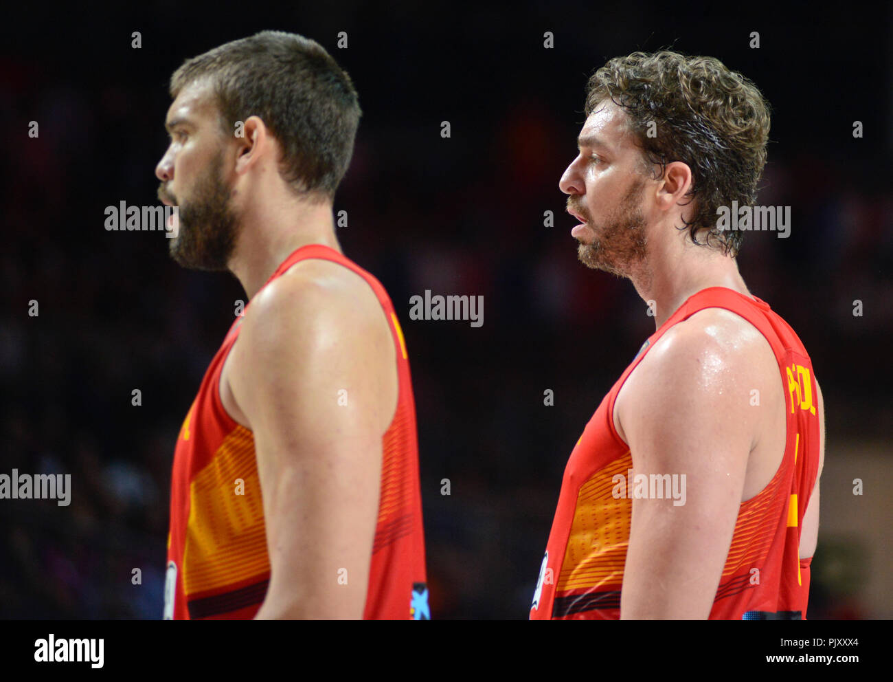 Pau e Marc Gasol. Spagna squadra nazionale di basket. Coppa del Mondo 2014 Foto Stock