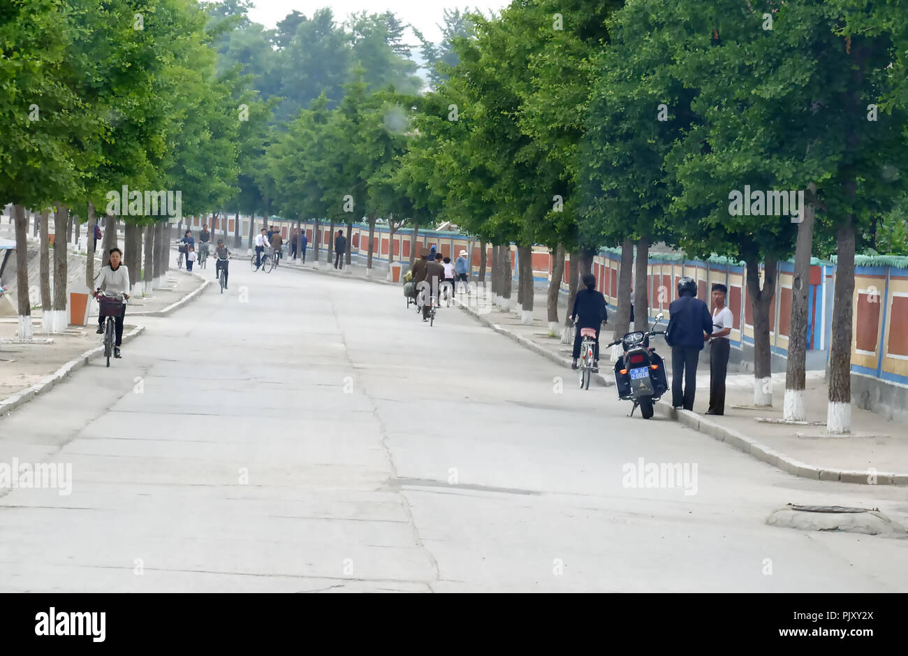 Viale alberato ma senza traffico stradale in Kaesong, Corea del Nord Foto Stock