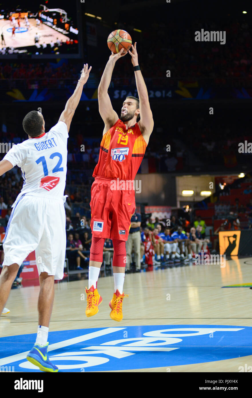 Marc Gasol (Spagna) punteggio contro Rudy Gobert (Francia). La pallacanestro di Coppa del Mondo 2014 Foto Stock