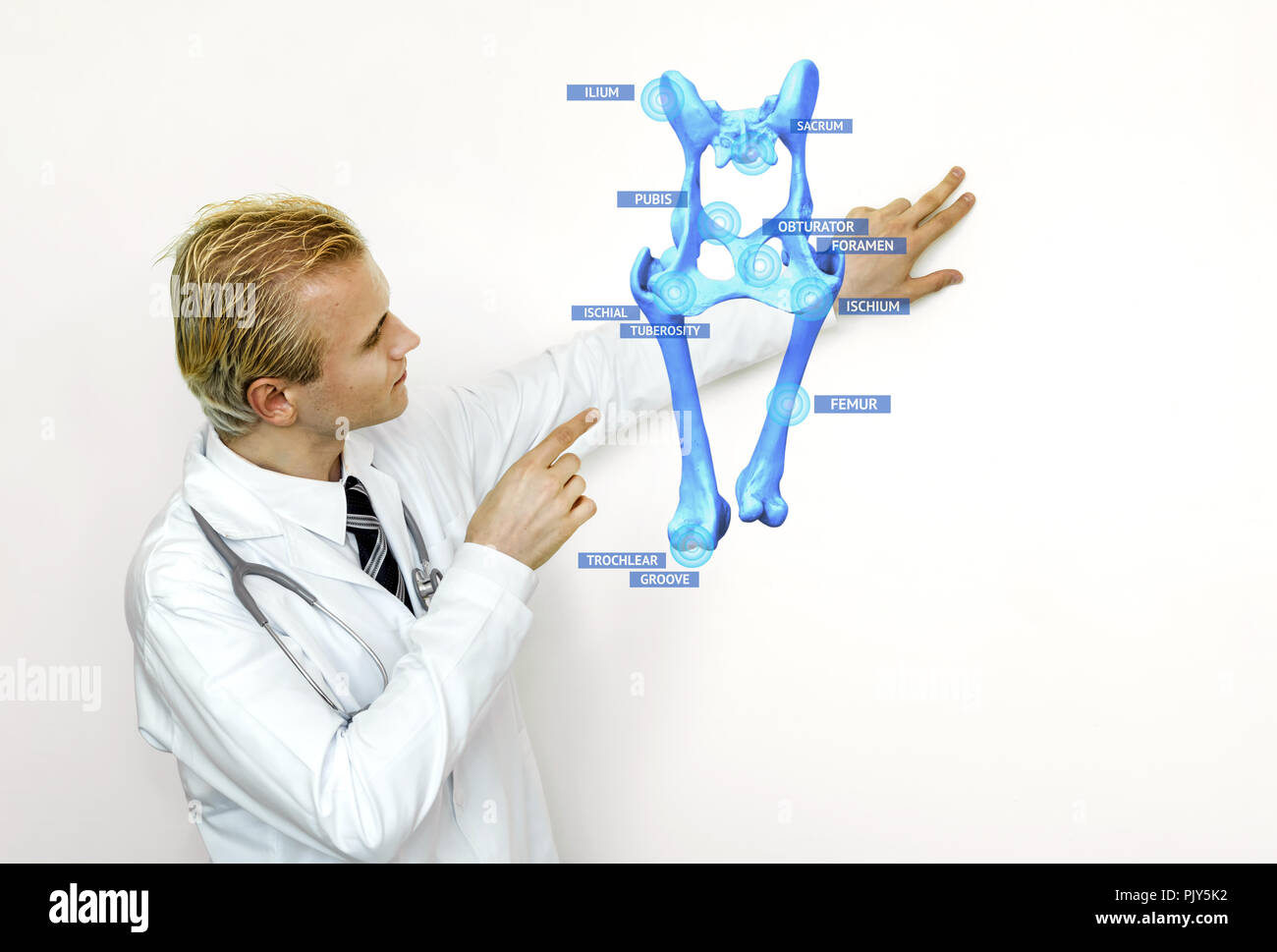 Smart health care internet delle cose e la realtà aumentata istruzione , di intelligenza artificiale di osso struttura ossea concetto tecnologico. Medico usando h Foto Stock