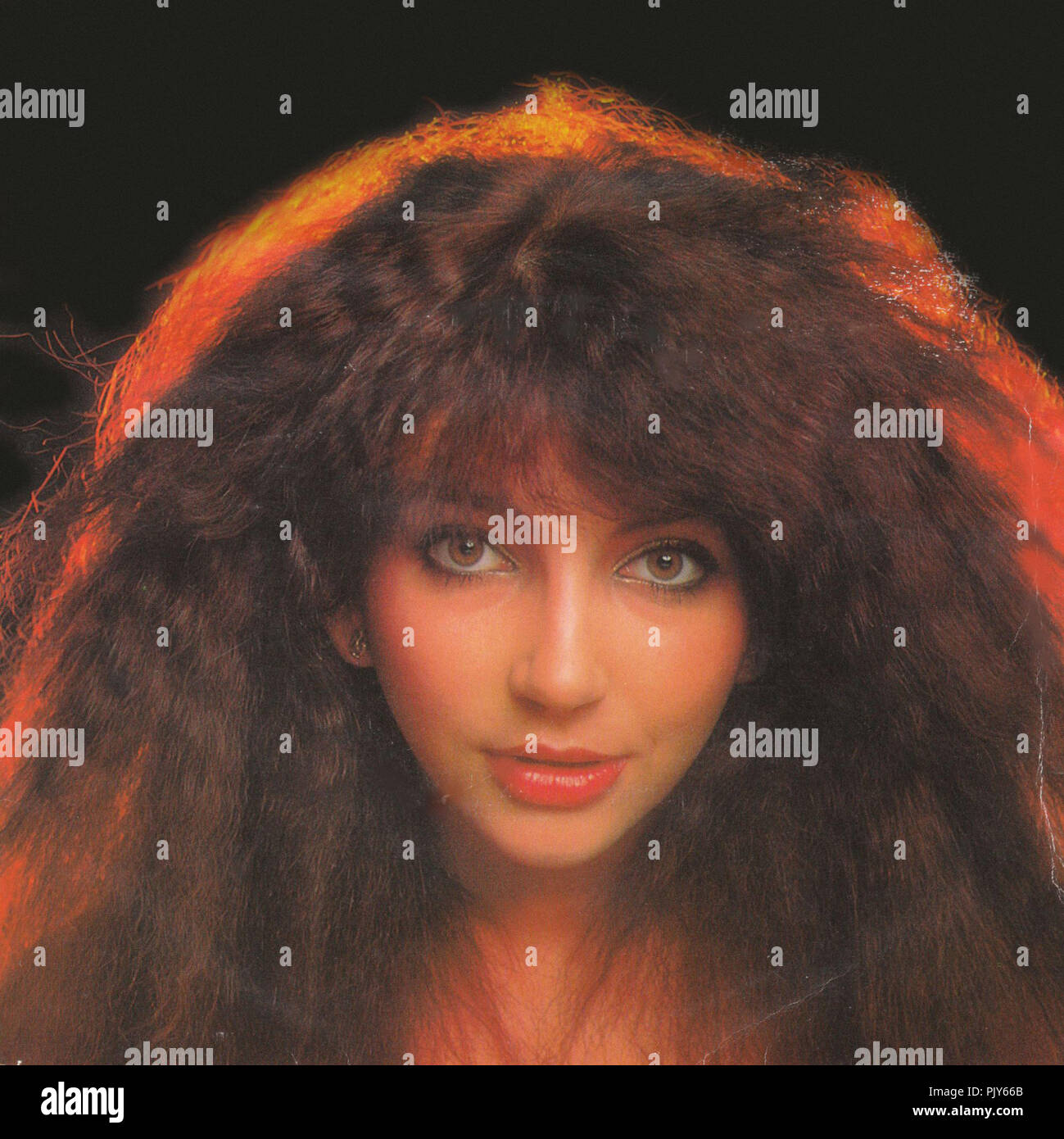 Kate Bush - Martello orrore Foto Stock