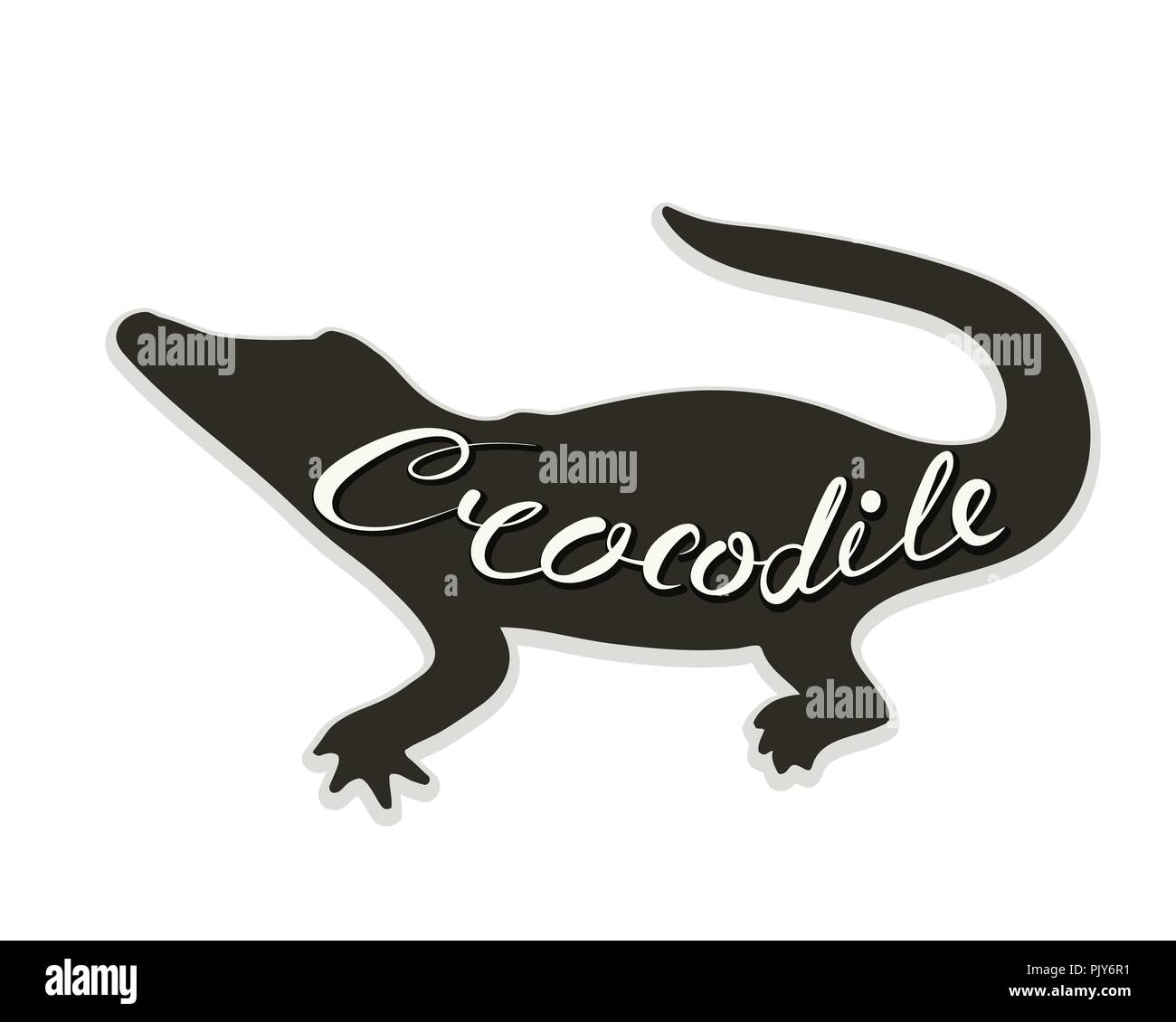 Il logo del coccodrillo. Illustrazione Vettoriale. Testo calligrafico. Illustrazione Vettoriale