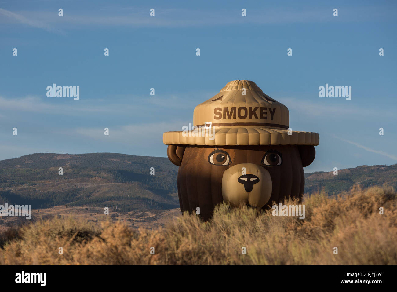 Reno, Nevada, Stati Uniti d'America. 9 Sep, 2018. Domenica 9 settembre, 2018.Smokey Bear mongolfiera, pilotato da Brad Riso di Rio Rancho, Nuovo Messico, atterra a Rancho San Rafael Parco regionale a Reno in Nevada, sul finale di mattina della trentasettesima grande Reno Balloon Race.Il libero più grande mongolfiera evento in tutto il mondo è cresciuta in dimensione da 20 mongolfiere nel 1982 a verso l'alto di 100 di palloncini colorati assunzione al cielo. Una media di 125,000 persone frequentano l'evento ogni anno. Credito: Tracy Barbutes/ZUMA filo/Alamy Live News Foto Stock