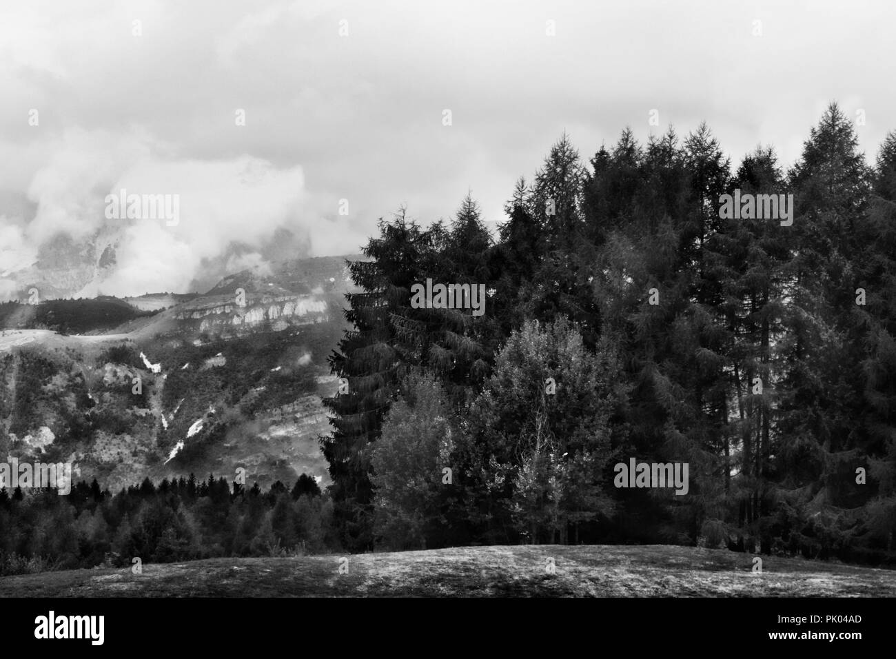 Vista la magia di una foresta montagna vicino a Trento in Italia ,in bianco e nero photograpgy , grigio ricca gamma di colori Foto Stock