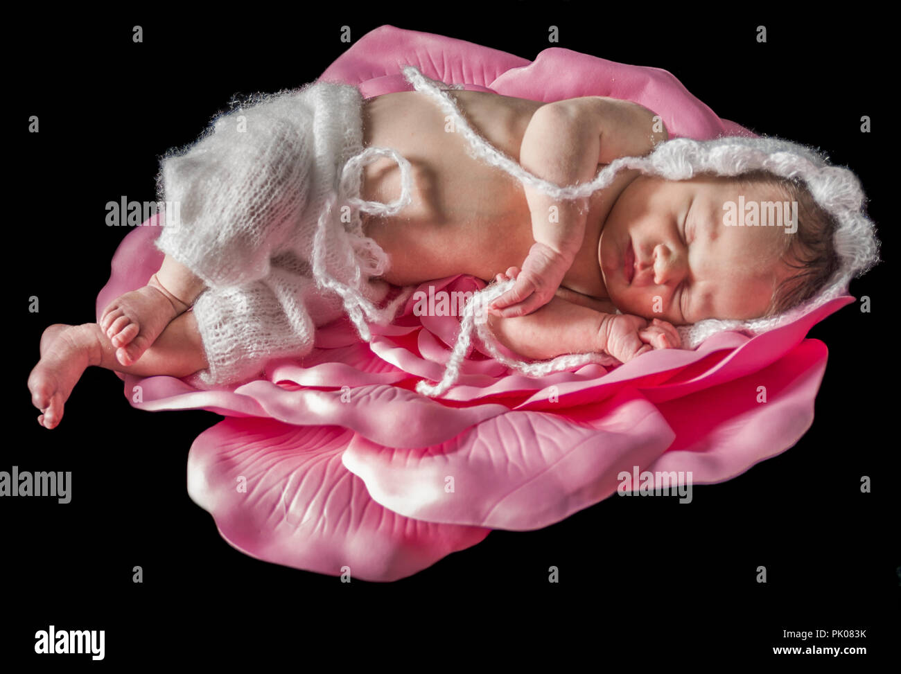 Infant Sleepin sul petalo di rosa Foto Stock