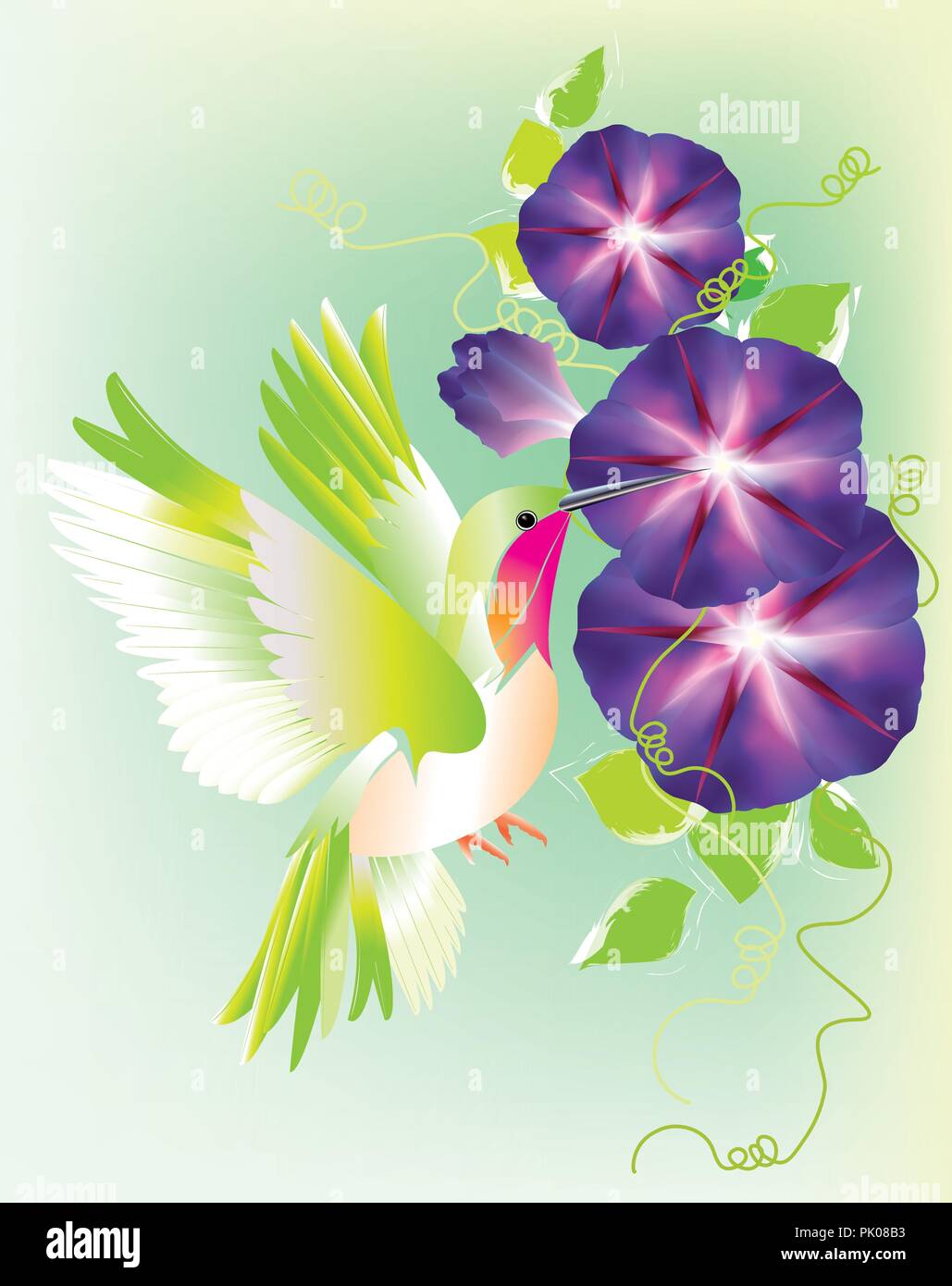 Bella colibrì alimentando il fiore di colore di sfondo Illustrazione Vettoriale