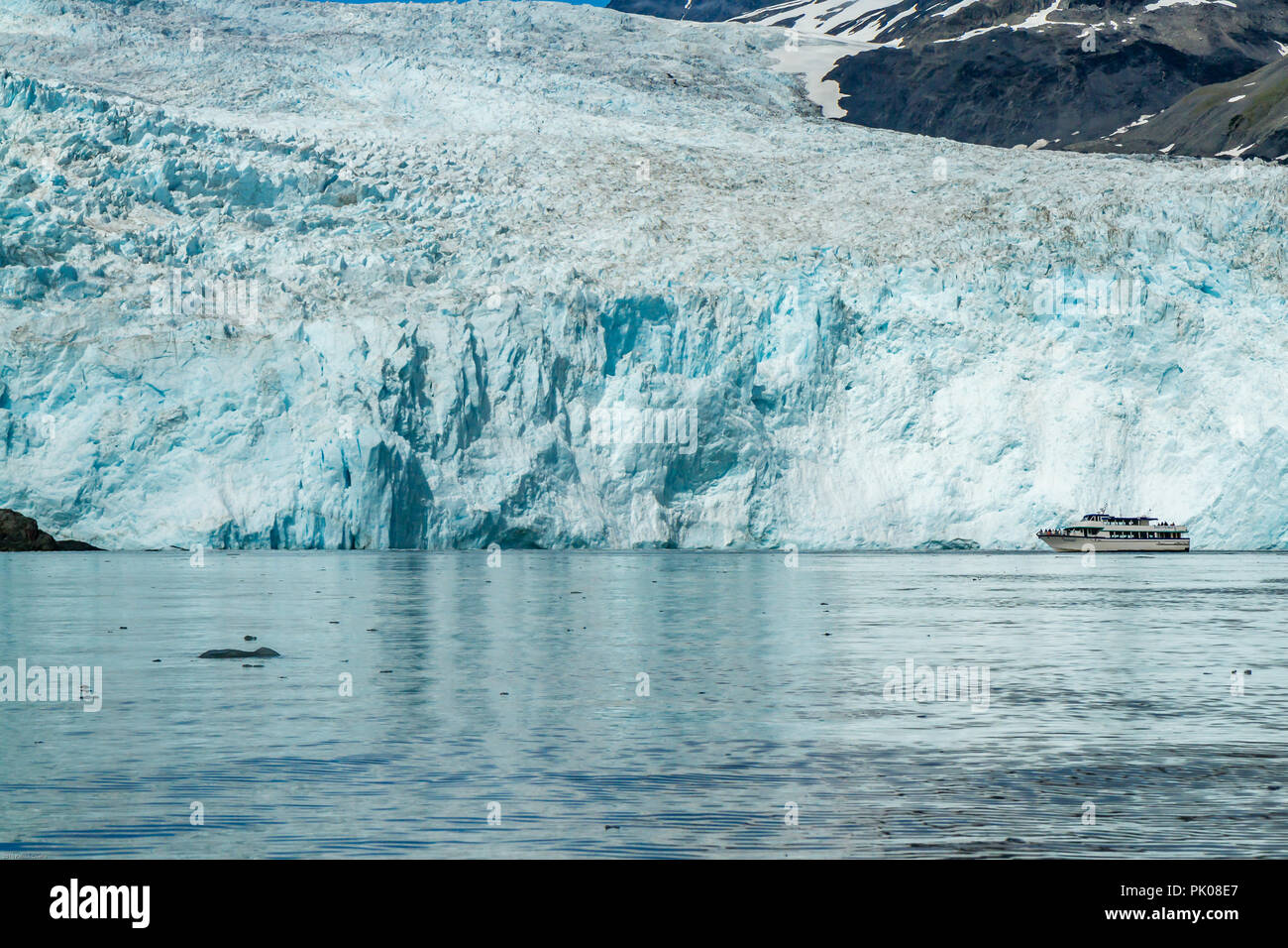 Harriman ghiacciaio Aialik Bay, Alaska, Stati Uniti d'America. Un catamarano barca è sopraffatte da enormi blue ice ghiacciaio in background. Foto Stock
