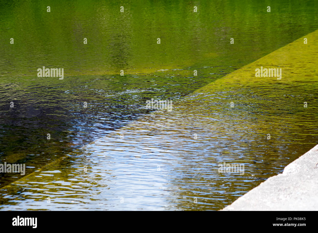 Verde, Oro e ambra colori riflessi nella superficie ondulata di un corpo di acqua, sfondo, visualizzare uno. Foto Stock