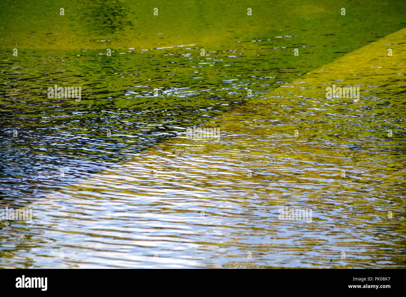 Verde, Oro e ambra colori riflessi nella superficie ondulata di un corpo di acqua, lo sfondo per la visualizzazione di due. Foto Stock