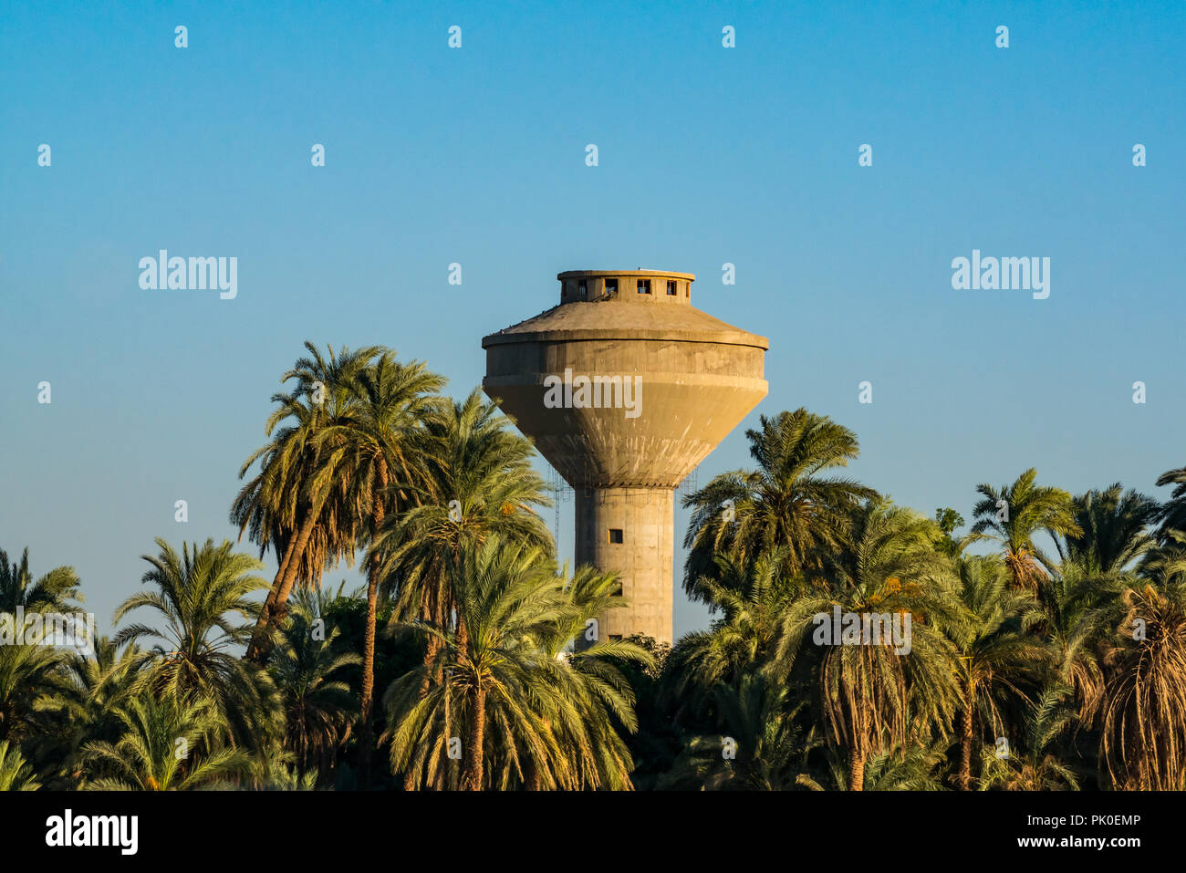 Tall concreto acqua torre che sovrasta la struttura Palm Tree Tops sull argine, Fiume Nilo, Egitto, Africa Foto Stock