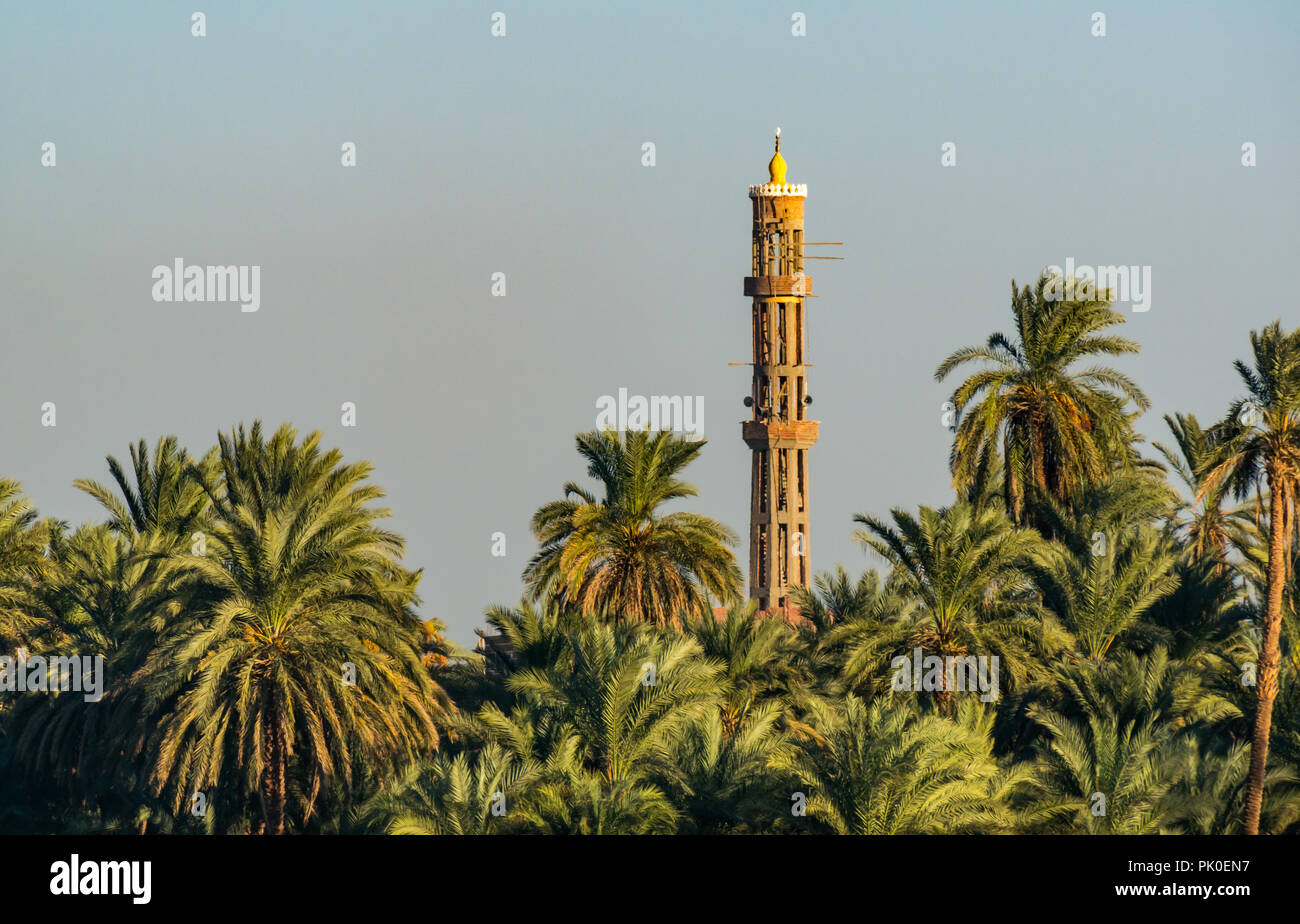 Calcestruzzo alto minareto della moschea che sovrasta la struttura Palm Tree Tops su riverbank nel tardo pomeriggio di sole, il fiume Nilo in Egitto, Africa Foto Stock