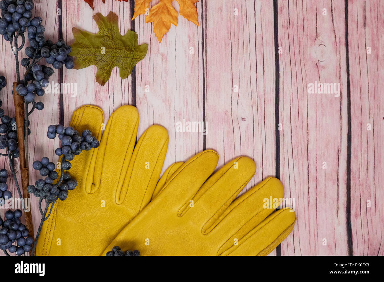 Bella autunno autunno scena di giardinaggio, girasoli, ghiande, foglie e giallo guanti da giardinaggio su una rosa di sfondo di legno Foto Stock