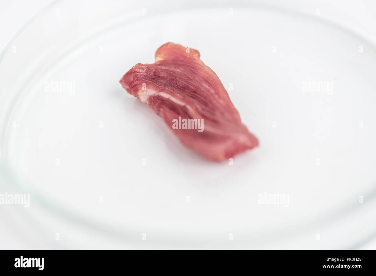 Analisi di alimenti Foto Stock
