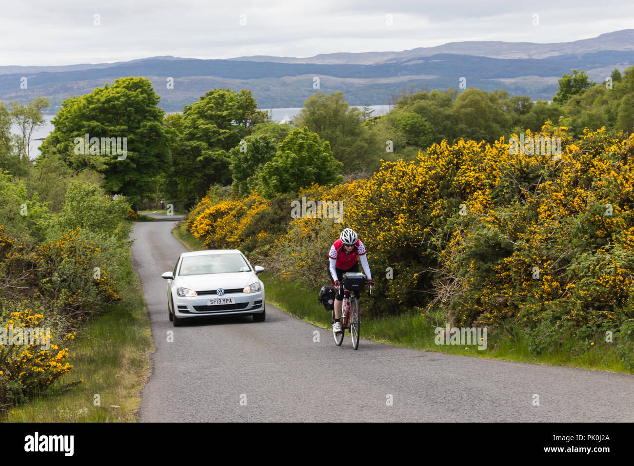 Touring ciclista in salita su una singola traccia strada nella parte anteriore della vettura. Automobilista in attesa per il passaggio di luogo. Foto Stock