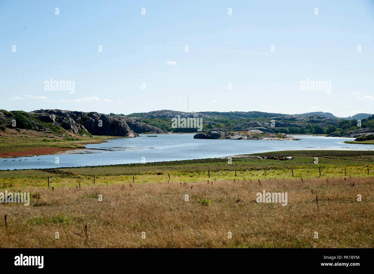 La natura in Svezia. Foto Stock