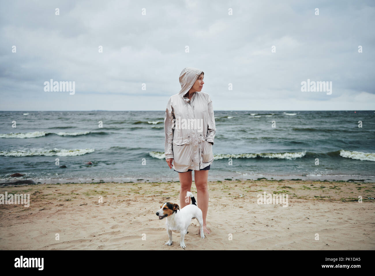 Giovane donna con il cane che guarda lontano vicino al mare Foto Stock