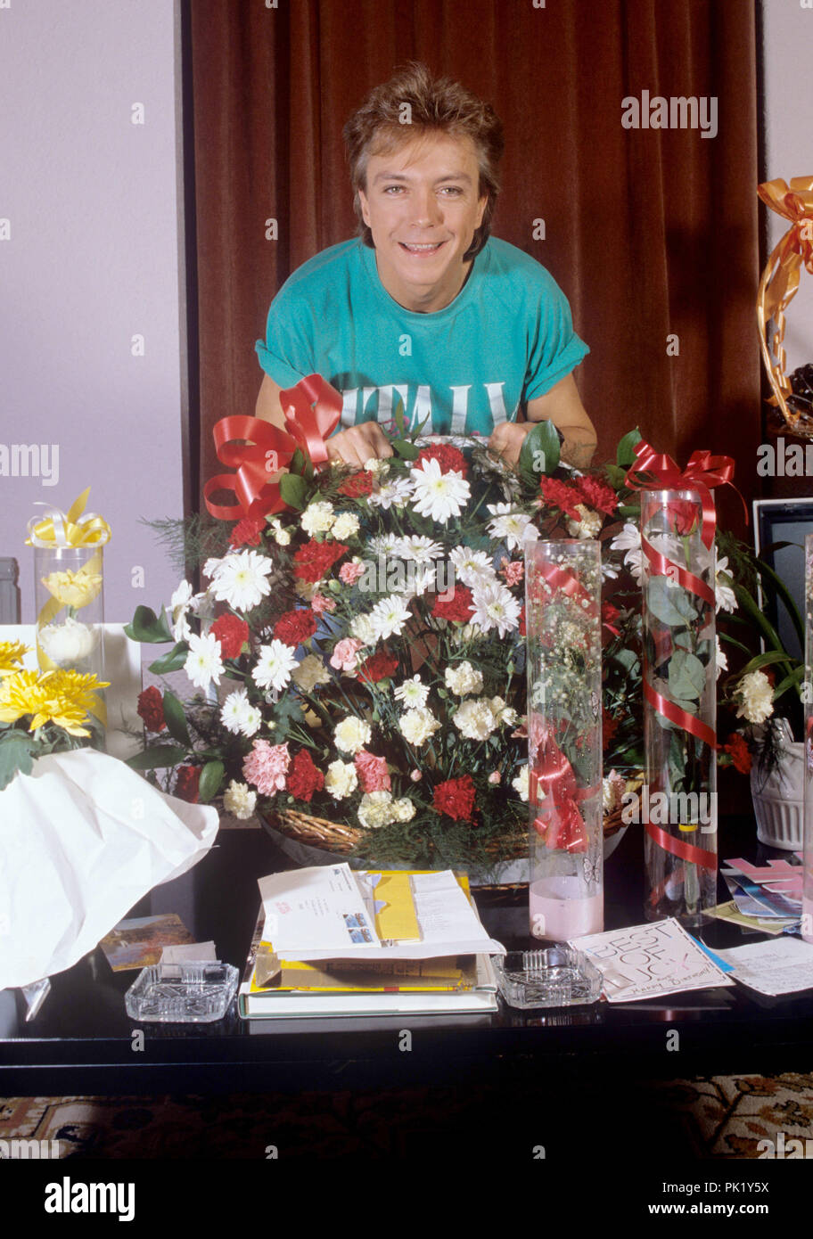 David Cassidy su 14.04.1987 a Londra. | Utilizzo di tutto il mondo Foto Stock