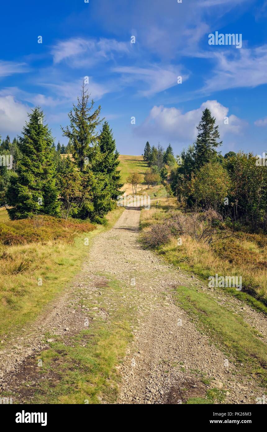 Bella estate paesaggio. Rurale percorso di montagna sulle verdi colline. Foto Stock