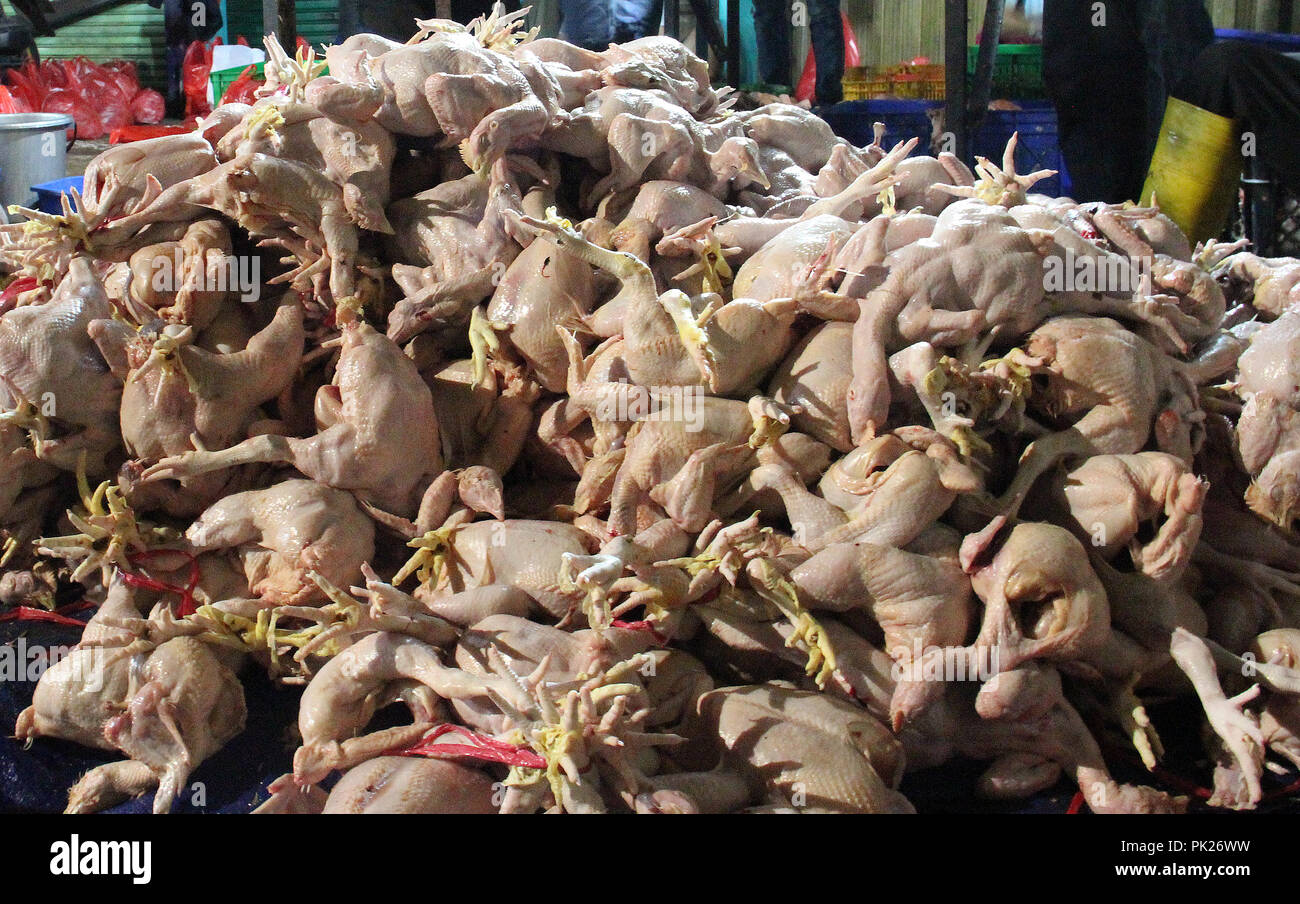 Polli di allevamento polli da carne a Bandung, Indonesia. Foto Stock
