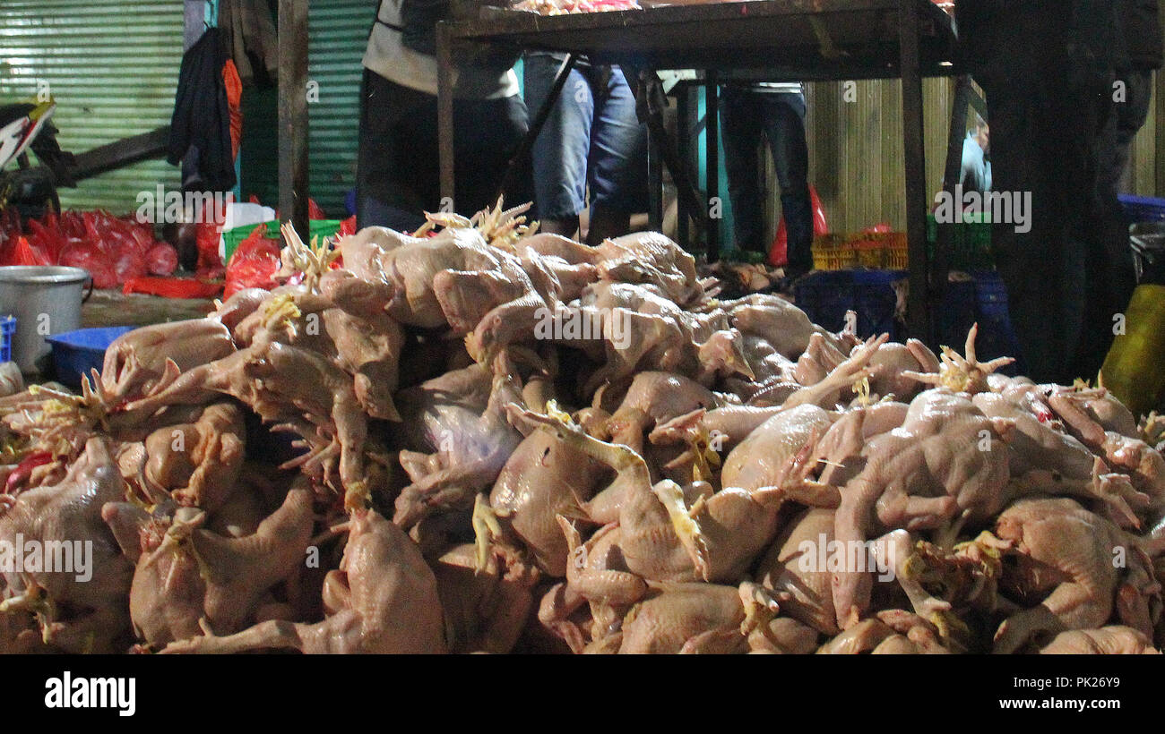 Polli di allevamento polli da carne a Bandung, Indonesia. Foto Stock