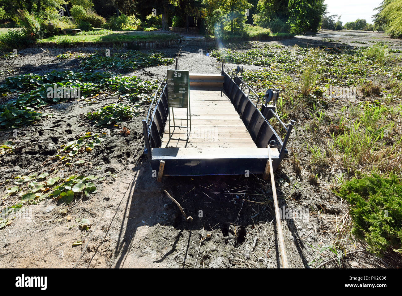 09.09.2018, Sassonia-Anhalt, Wörlitz: Nel Wörlitz Regno giardino, accanto a molte fioritura di ninfee, il Rose Island Ferry risiede nella quasi completamente asciugata canal. La siccità che ha durato per mesi, è stato drenato quasi tutta l'esteso sistema di canale nel Wörlitz Regno giardino, un sito Patrimonio Mondiale dell'UNESCO. Il parco del paesaggio tra Dessau-Roßlau e Wittenberg è stabilito nel XVIII secolo dal principe Leopoldo III Friedrich Franz von Anhalt-Dessau ed è uno dei parchi più belli d'Europa. Foto: Waltraud Grubitzsch/dpa-Zentralbild/dpa Foto Stock