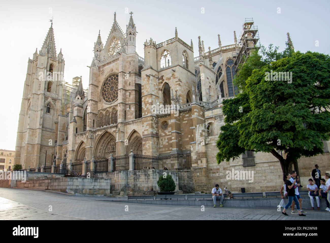 La cattedrale gotica di Santa María de Regla. León. Spagna Foto Stock