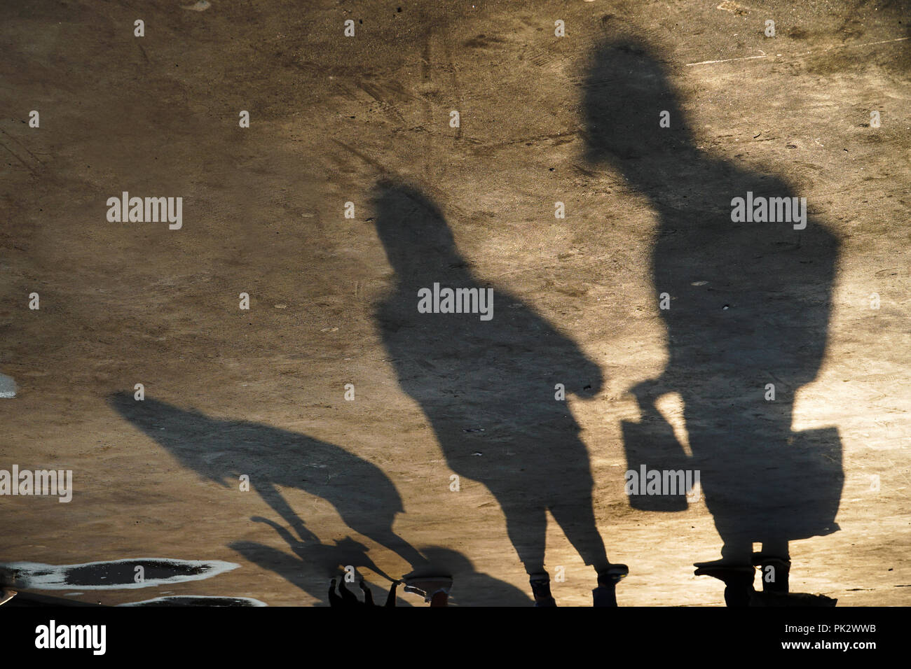 Le ombre di una famiglia con Cat Foto Stock