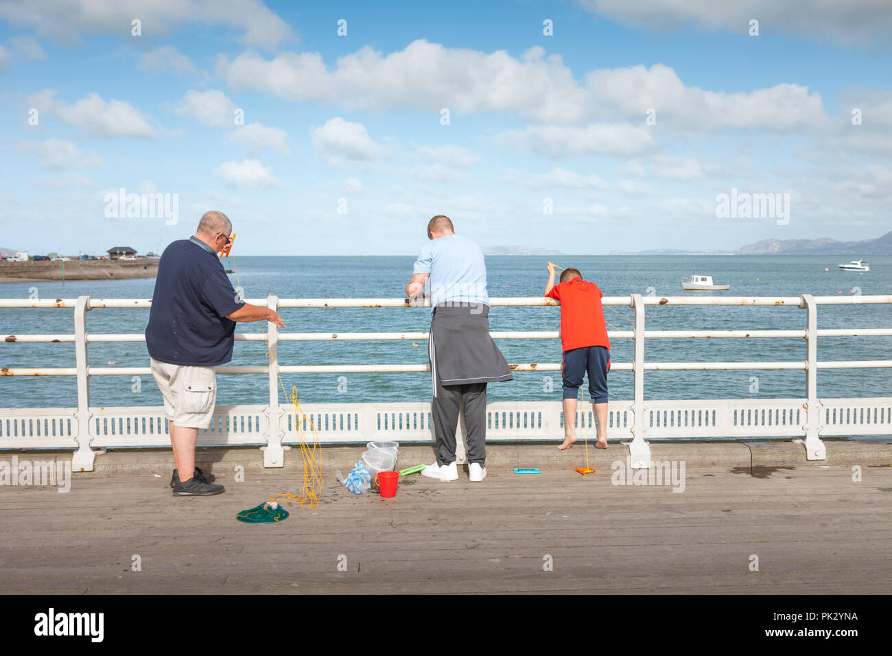 Famiglia di granchi di cattura su un molo, Beaumaris, Anglesey, Galles REGNO UNITO Foto Stock