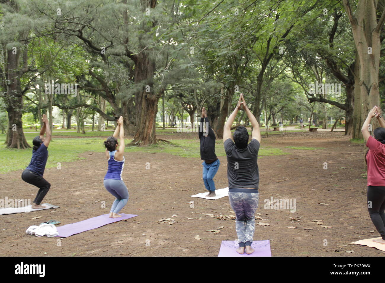 Un gruppo di ragazzi a praticare yoga (sedia posa) in Cubbon Park, Bangalore, India Foto Stock