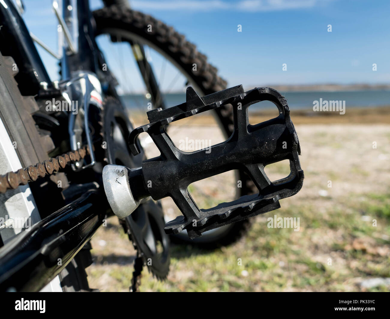 Pedale di bicicletta dettaglio sul faggio durante la bella soleggiata giornata di primavera Foto Stock