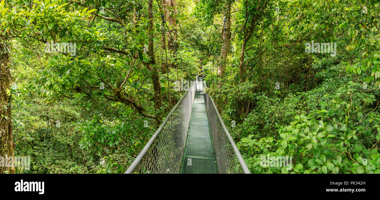 Monteverde Aventura ponti sospesi, Selvatura Park, Costa Rica Foto Stock