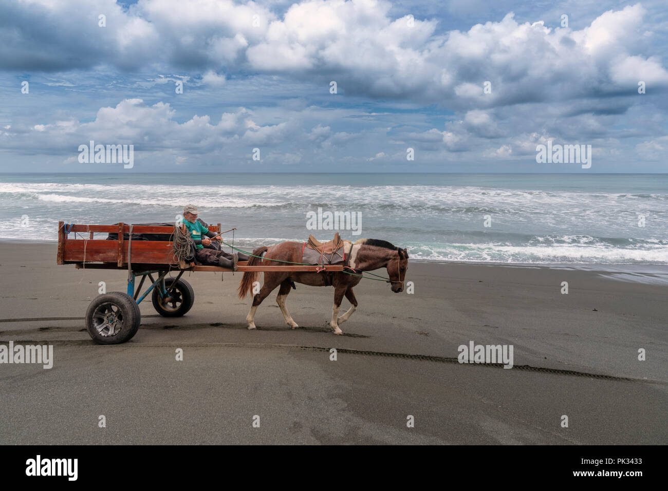 Uomo che utilizza un cavallo e il carrello sulla spiaggia, Osa Peninsula, Costa Rica Foto Stock