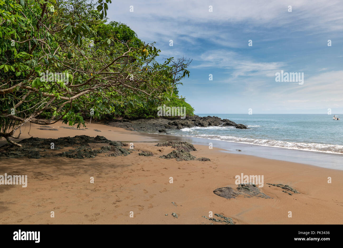 Spiaggia, Parco Nazionale di Corcovado, Osa Peninsula, Costa Rica Foto Stock
