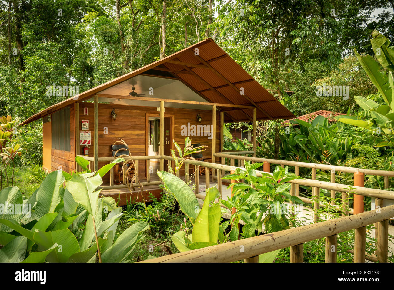 La foresta pluviale, Pachira Lodge, Costa Rica Foto Stock