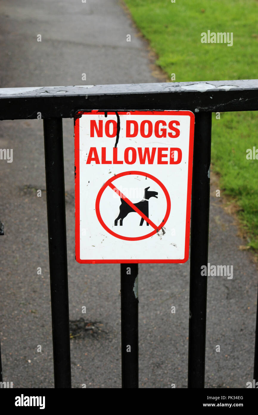 Non sono ammessi cani segno con lettere di colore rosso su sfondo bianco attaccato ad un black metal di gate in un recinto in un parco con una strada asfaltata e di erba in ba Foto Stock