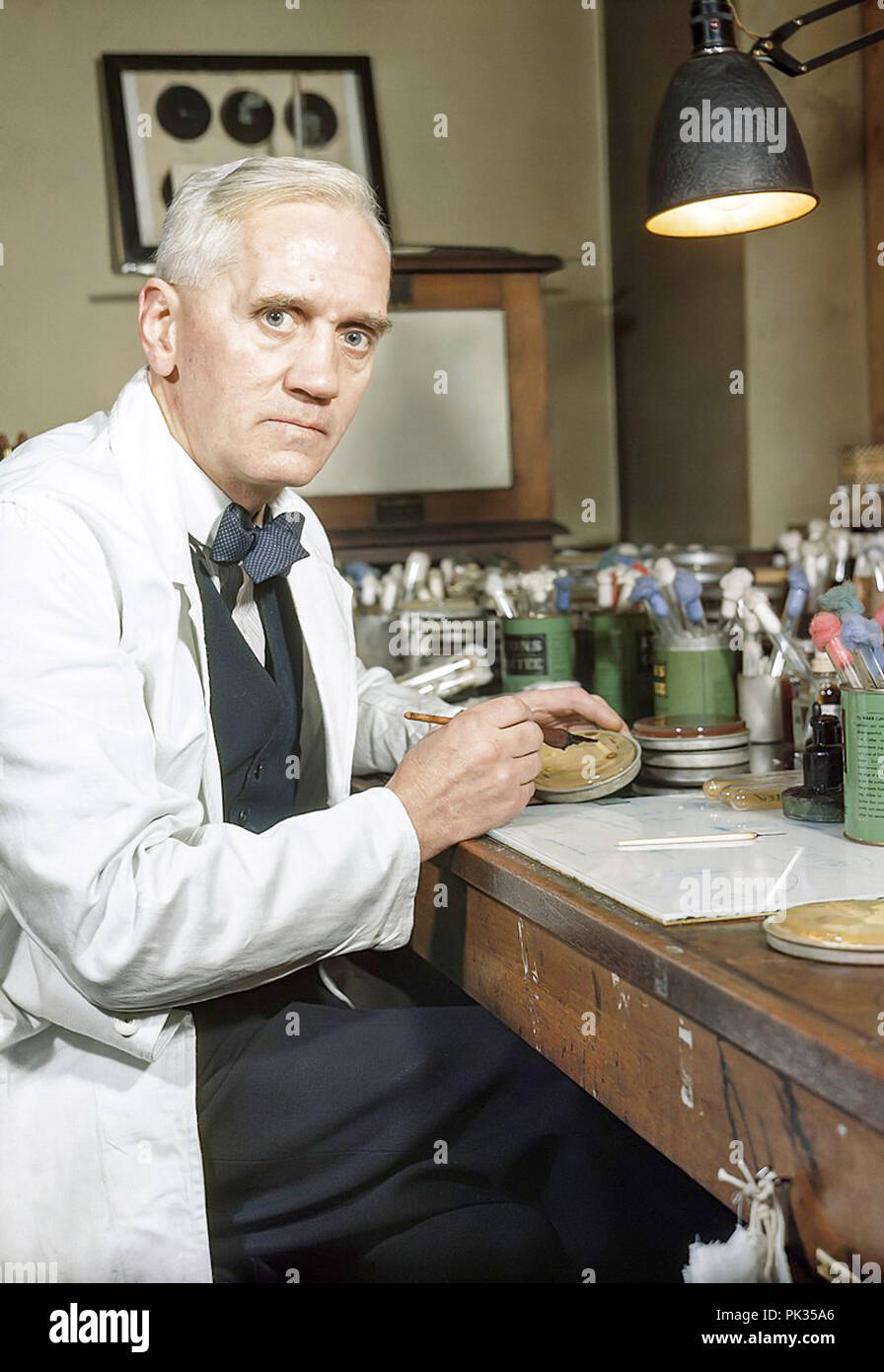 Ritratto di scienziato Alexander Fleming Foto Stock