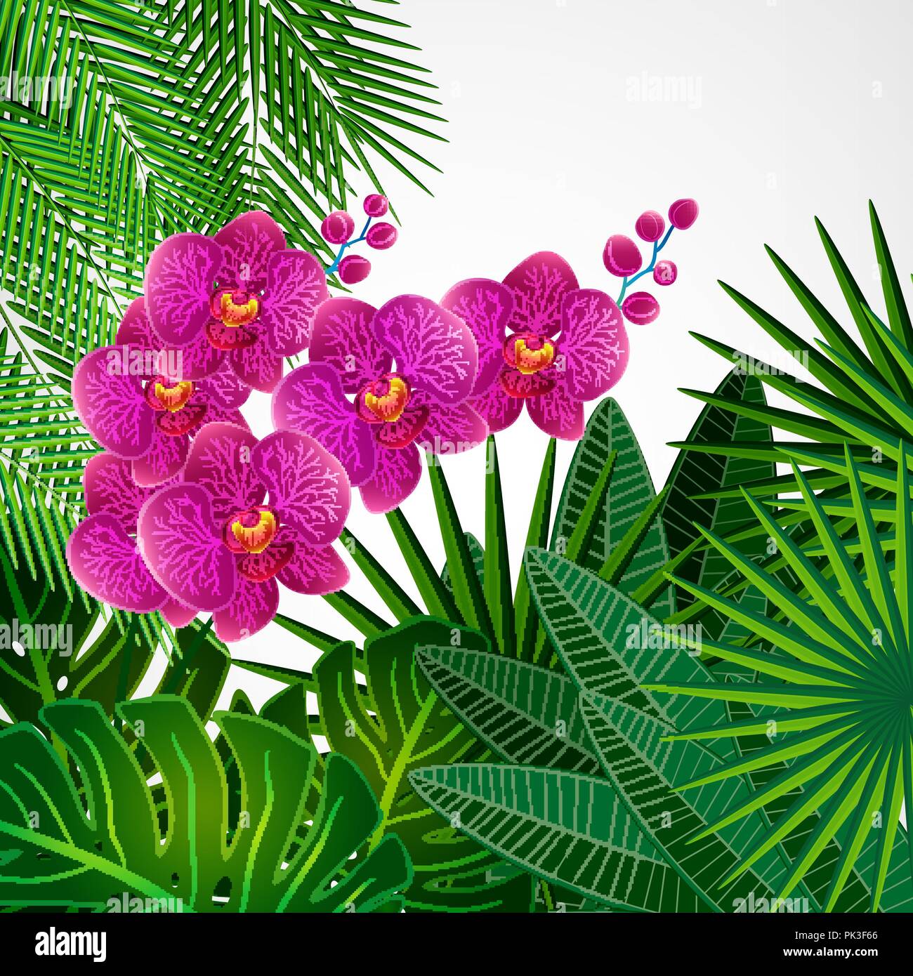 Floral background di design. Fiori di orchidea. Illustrazione Vettoriale